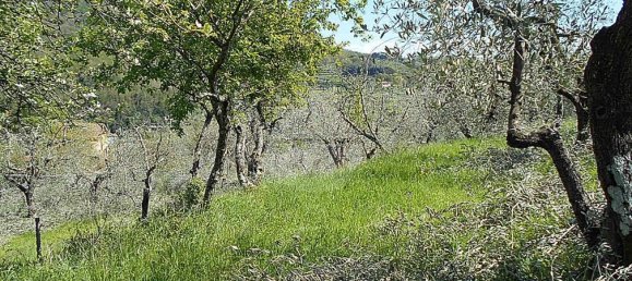 Terreno en Pistoia, Italy 2610 m² No. 70883 5