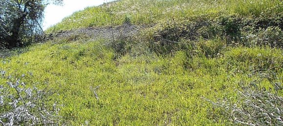 Terreno en Pistoia, Italy 2610 m² No. 70883 4