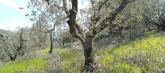 Terreno en Pistoia, Italy 2610 m² No. 70883 17