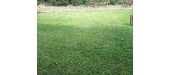 3-Zimmer Wohnung in Worms, Germany, Nr. 31858 5