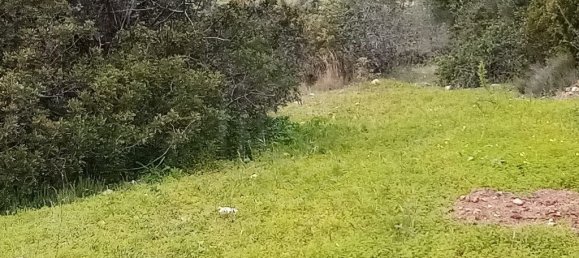 1394m² Land in Loule, Portugal No. 60266 8