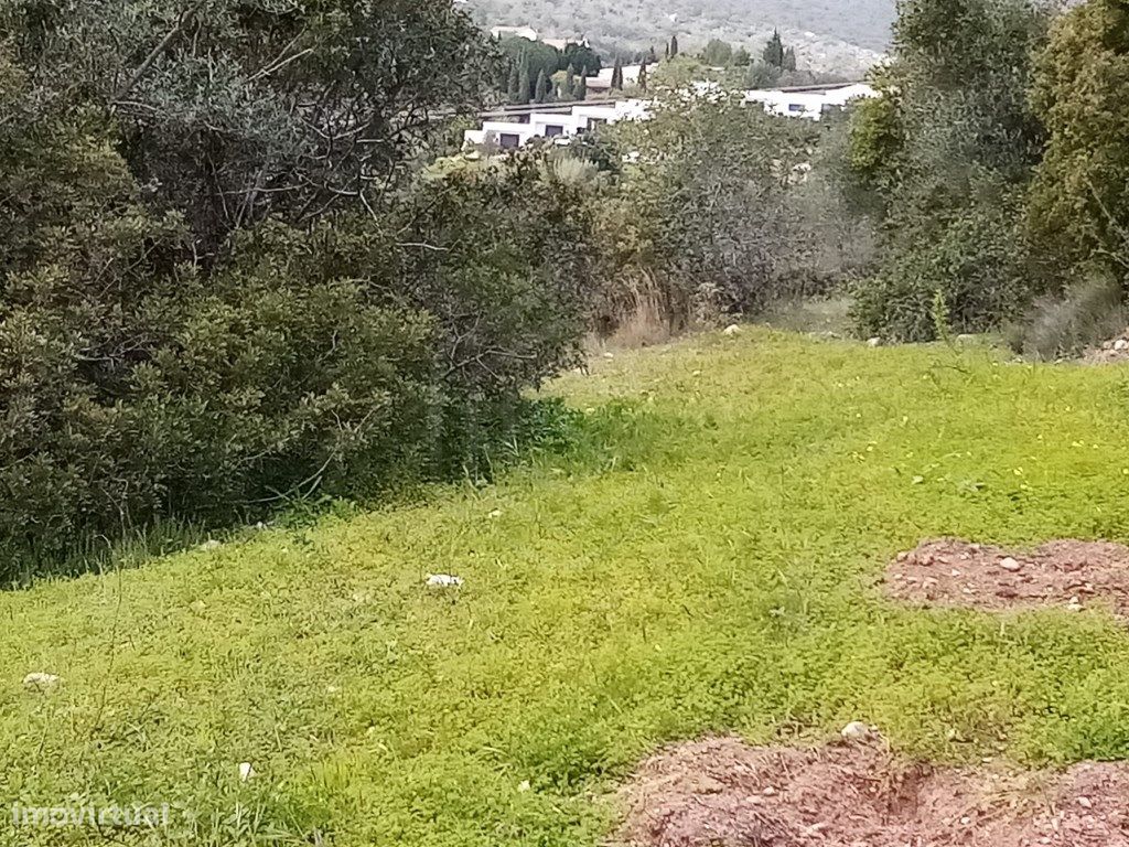 1394m² Land in Loule, Portugal No. 60266
