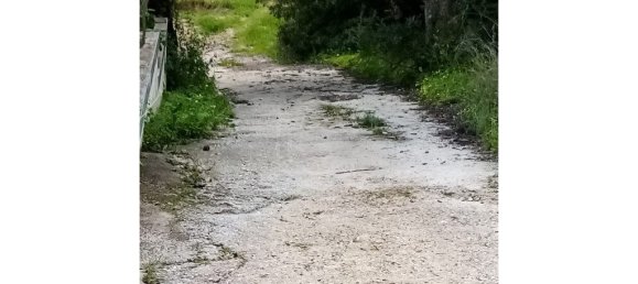 1394m² Land in Loule, Portugal No. 60266 13