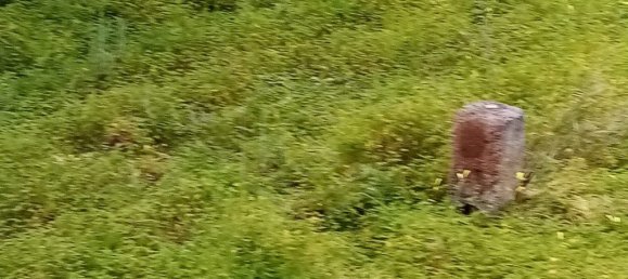 1394m² Land in Loule, Portugal No. 60266 3