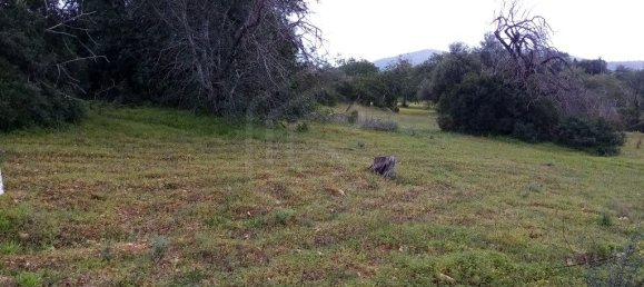 1394m² Land in Loule, Portugal No. 60266 9