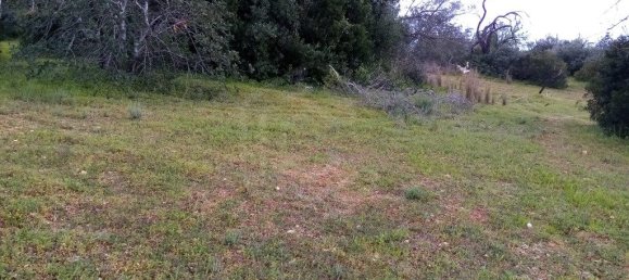 1394m² Land in Loule, Portugal No. 60266 10