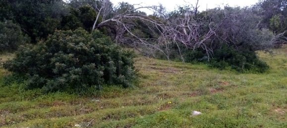 1394m² Land in Loule, Portugal No. 60266 6