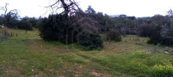 1394m² Land in Loule, Portugal No. 60266 11