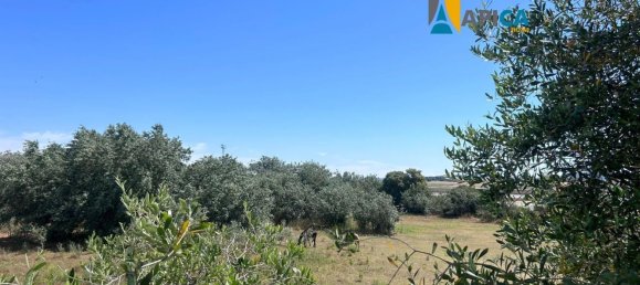 Земельный участок 470м² в Барбате, Испания № 150209 11