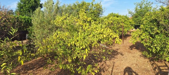 Casa T7 em Andalusia, Spain N.º 160284 32