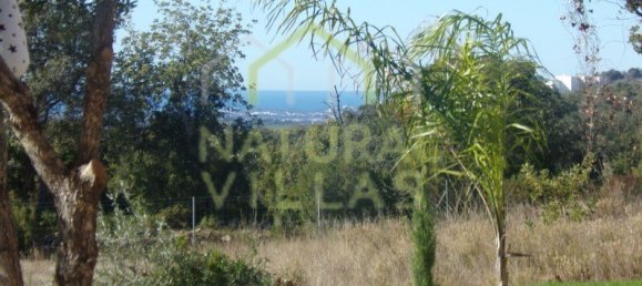 Villa de 4 dormitorios en Loule, Portugal No. 88719 10