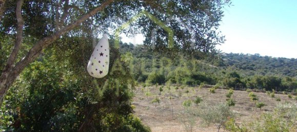 Villa de 4 dormitorios en Loule, Portugal No. 88719 11