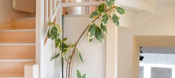 310m² Commercial property in Kapfenberg, Austria No. 218326 7