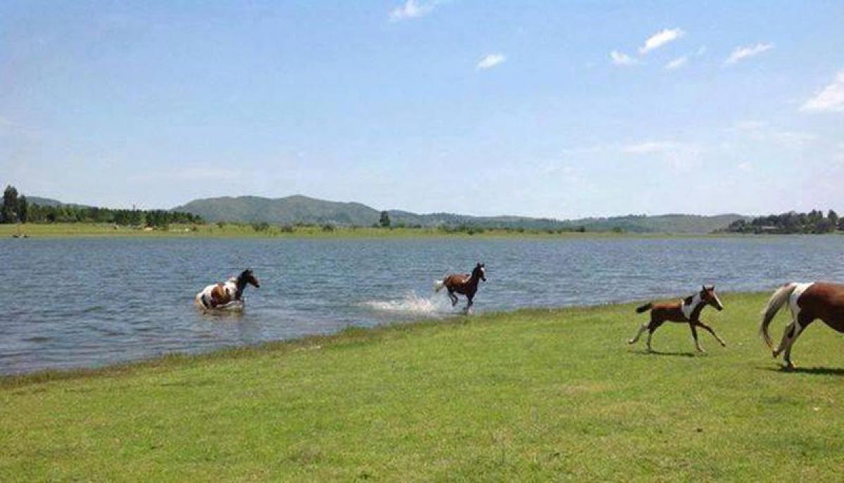  Land in Cordoba, Argentina No. 38067