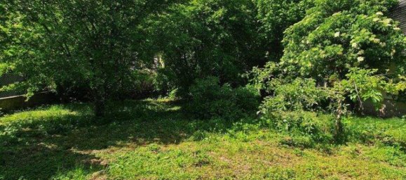  Land in Himberg, Austria No. 43741 7