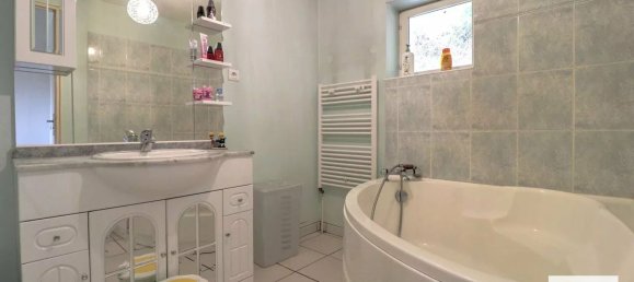 6 chambres Châteaux à Serpaize, France No. 355457 12