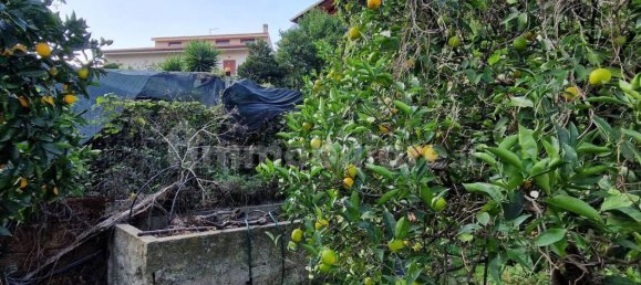 8 chambres Villa à Sardinia, Italy No. 338344 19