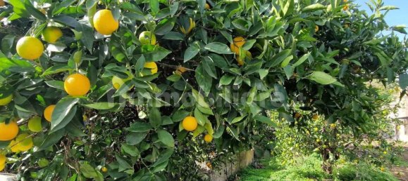 8 chambres Villa à Sardinia, Italy No. 338344 20