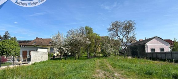 Terreno em Sitzendorf an der Schmida, Austria 1238 m² N.º 217892 2