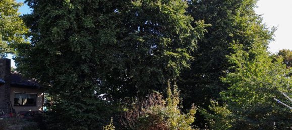 3-salle Bungalow à Aachen, Germany No. 342075 4