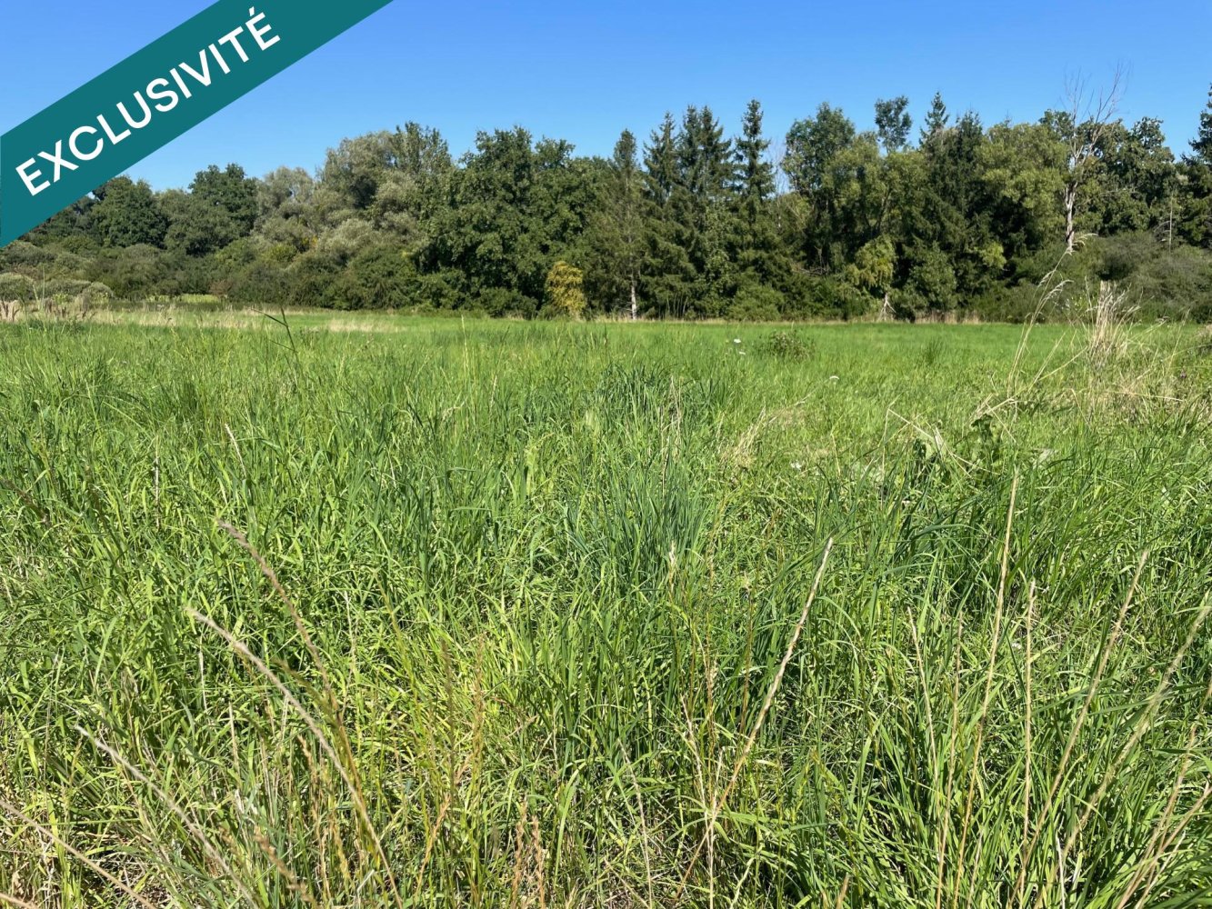  Land in Bibiche, France No. 350921