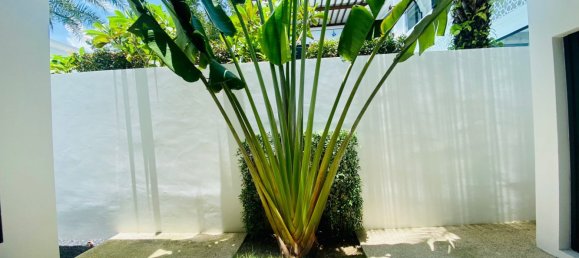 3 Schlafzimmer Villa in Bang Tao, Thailand, Nr. 9226 16