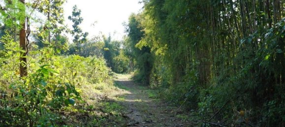 20 bedrooms Commercial property in Chiang Mai, Thailand No. 18955 6