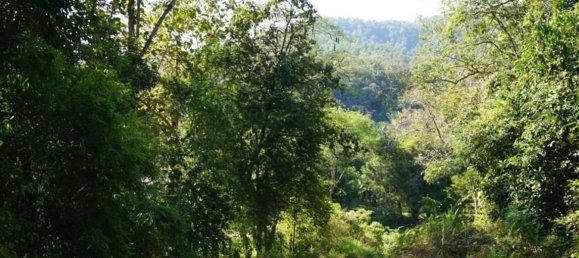 20 bedrooms Commercial property in Chiang Mai, Thailand No. 18955 8