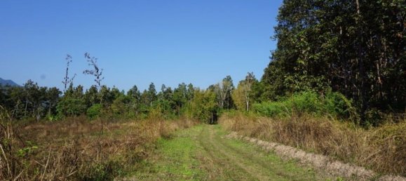 20 bedrooms Commercial property in Chiang Mai, Thailand No. 18955 7