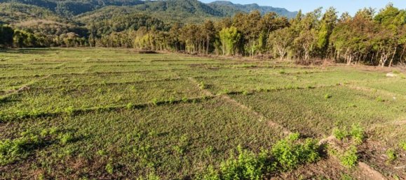 20 bedrooms Commercial property in Chiang Mai, Thailand No. 18955 2