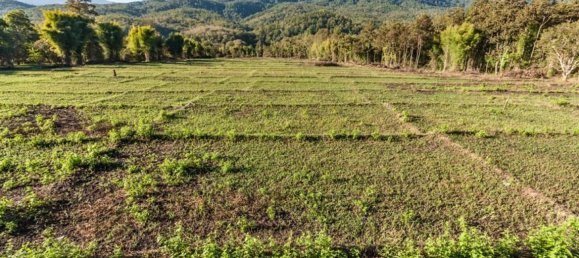 20 bedrooms Commercial property in Chiang Mai, Thailand No. 18955 3