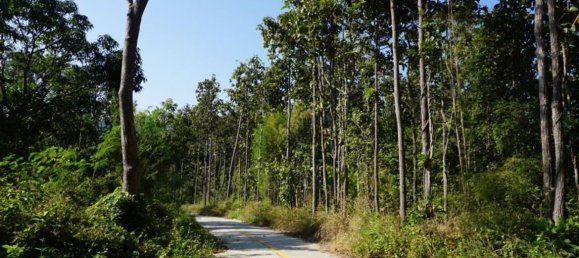 20 bedrooms Commercial property in Chiang Mai, Thailand No. 18955 9