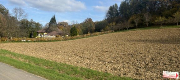 Terrain à Heiligenkreuz im Lafnitztal, Austria No. 57084 3