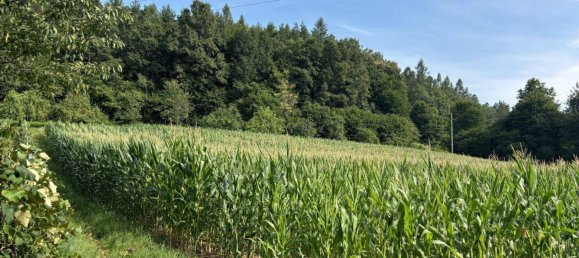 Terrain à Heiligenkreuz im Lafnitztal, Austria No. 57084 4