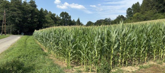 Terrain à Heiligenkreuz im Lafnitztal, Austria No. 57084 6