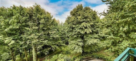 1 chambre Appartement à Mettmann, Germany No. 269142 13