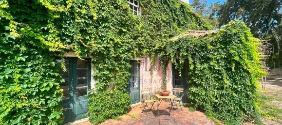 Дом с 10 спальнями в Торриш Ведраш, Португалия № 54385 6