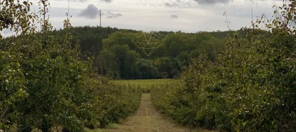 Дом с 10 спальнями в Торриш Ведраш, Португалия № 54385 44