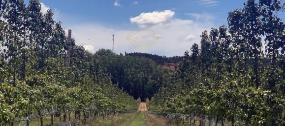 Дом с 10 спальнями в Торриш Ведраш, Португалия № 54385 43