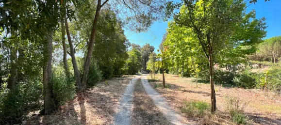 Дом с 10 спальнями в Торриш Ведраш, Португалия № 54385 47