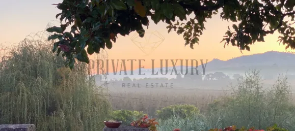 Дом с 10 спальнями в Торриш Ведраш, Португалия № 54385 31