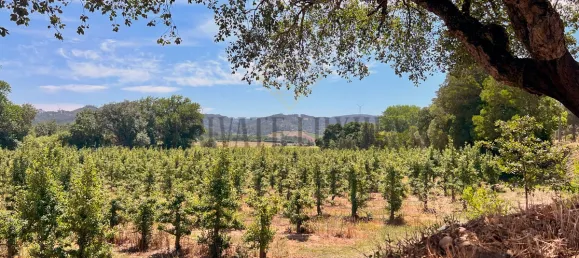 Дом с 10 спальнями в Торриш Ведраш, Португалия № 54385 46