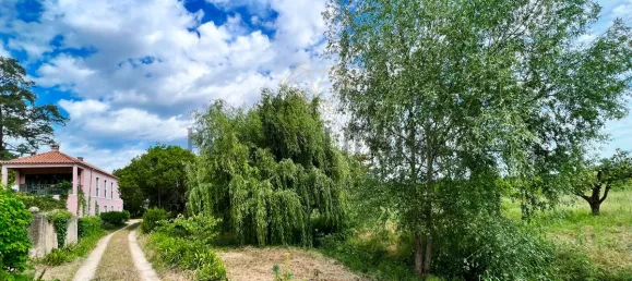 Дом с 10 спальнями в Торриш Ведраш, Португалия № 54385 40