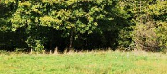 4 bedrooms House in Montbazon, France No. 300667 10