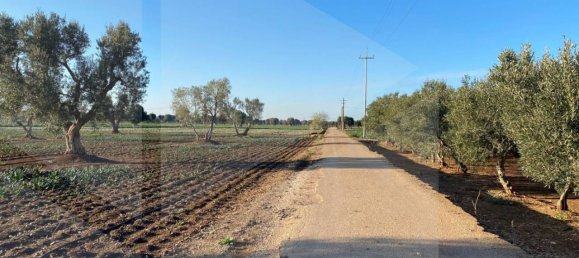 Land in Fasano, Italy No. 27774 13