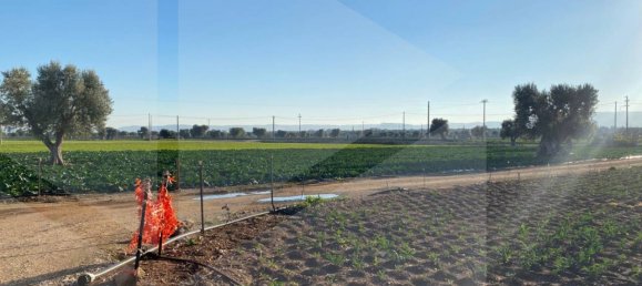 Land in Fasano, Italy No. 27774 3