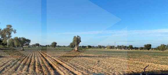 Land in Fasano, Italy No. 27774 11