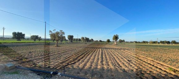 Land in Fasano, Italy No. 27774 10