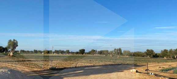 Land in Fasano, Italy No. 27774 12