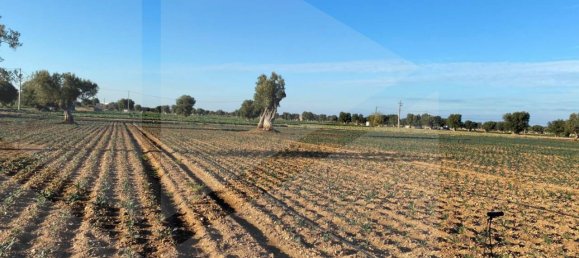 Land in Fasano, Italy No. 27774 4